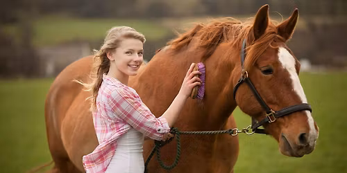Horse Wisdom: Unlocking Your Potential