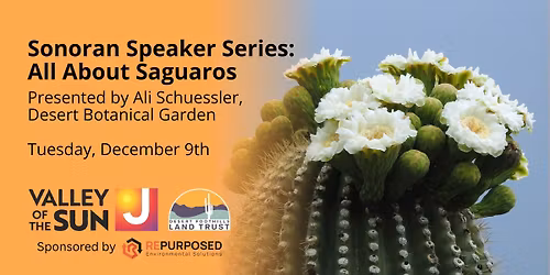 Sonoran Speaker Series: All About Saguaros