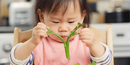 Introduction to Solid Foods Workshop, 09:30 - 11:00, 18\/05\/2026