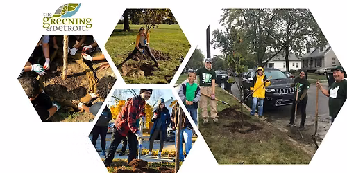Wayne State University Fountain Court Tree Planting