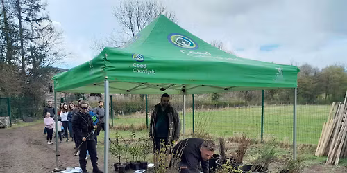 Household Tree Donations (spring round 26) (Forest Farm, Whitchurch)