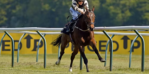 PricedUp \u00a39 Afternoon Racing