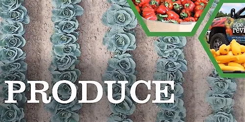 Ripe for Revival Mobile Markets