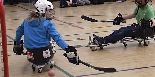 TRY-IT! Roller Sledge w\/Chris Cedarstrand