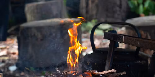 Hwyl yr \u0175yl yn y Goedwig gyda Barod  \/Festive Forest Fun with Barod