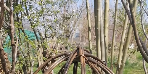 Atelier vannerie : Cloche \u00e0 pivoines (support plantes) et mangeoire\/porte-ail