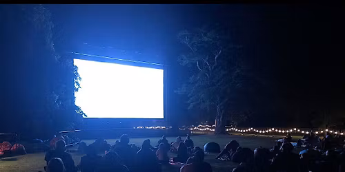 Hornet Film Festival