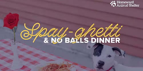 The 11th Annual Spay-ghetti & No Balls Dinner