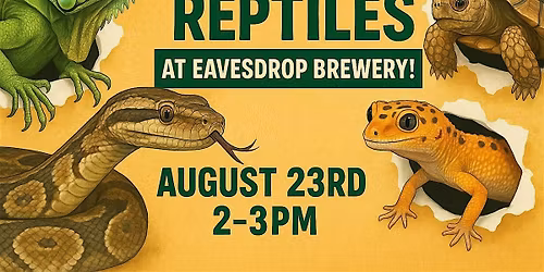 Raging Reptiles Show at Eavesdrop!
