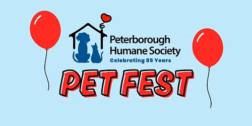 Pet Fest