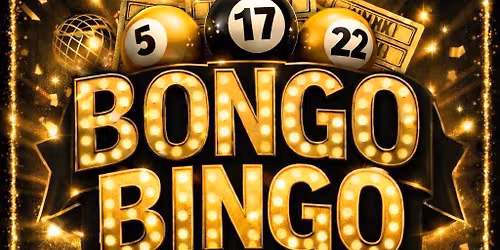Shieldsy\u2019s Bongo Bingo