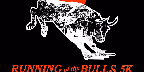 Running of the Bulls 