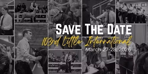 103rd Little International