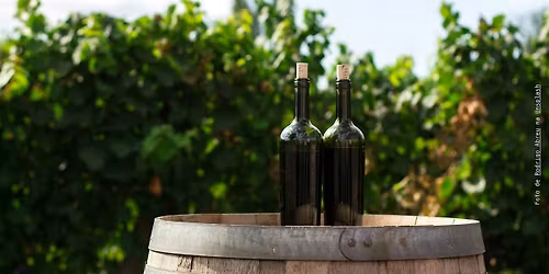 Degustando Brasil de Vinhos: Serra Fluminense