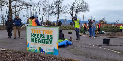 Yard Tree & Native Plant Giveaway