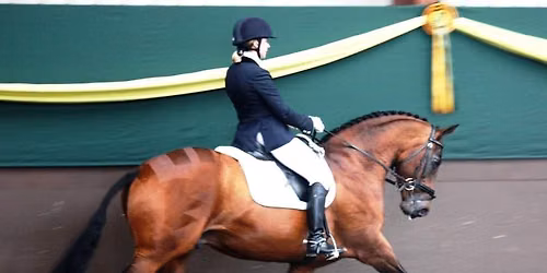 Heidi Hutchinson Clinic
