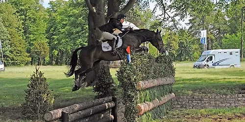 Arena eventing training with Will Murray