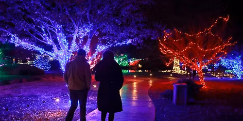 On a Winters Night - Springfield