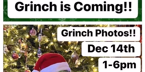 PHOTOS WITH THE GRINCH