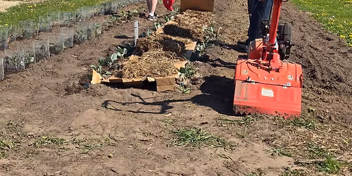 Gardening Basics Workshop