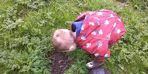 Nature Tots - Gibraltar Point