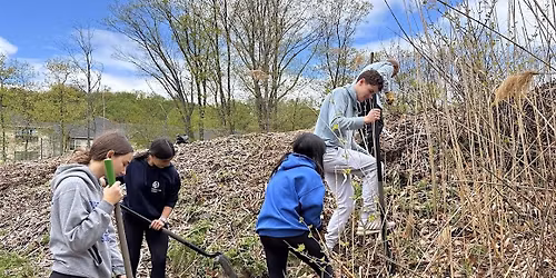 Sunday 11\/23 Volunteer Pollinator Garden & Trail Maintenance - Dobbs Ferry