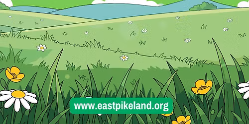 Lawn to Meadow Conversion