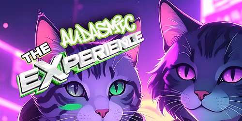 The AUDASMIC Experience