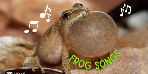 Frog Songs