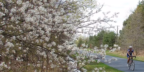 Friends of the Pere Marquette Rail Trail Annual Meeting