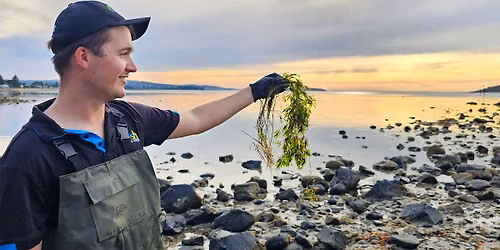 Seagrass for Snapper launch \u2013 Victor Harbor SA