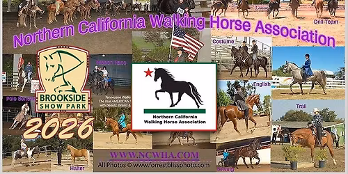 NorCal Walking Horse Show