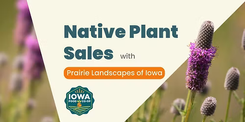 Native Plant Sales