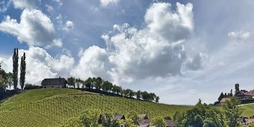Wein- und Genußwanderung 🍇🍷🌻🍁🍂