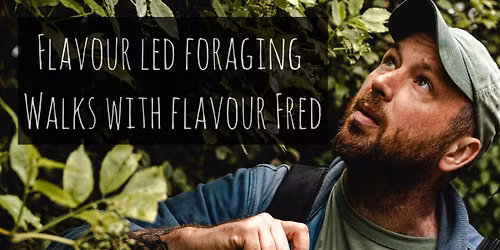 Flavour-Led Foraging Walk, Wild Plants, Fungi, History, Folklore, Wild Food
