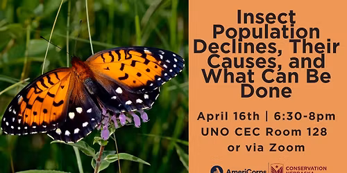 Insect Population Declines, Their Causes, and What Can Be Done