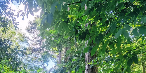 Fall hike at Tyler State Park