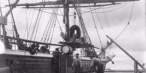 Ume\u00e5 \u2013 en tj\u00e4rhistorisk plats