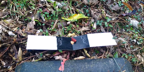 Rotokare Pest Monitoring - Full Sanctuary Tracking Cards OUT