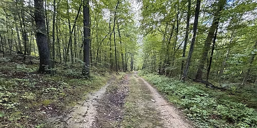 Winnekenni  Park - new trails + trail improvements! Part 2, Sunday 11\/9\/25