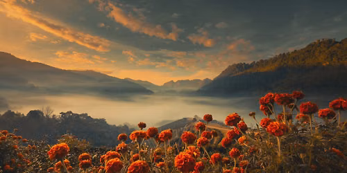 Lughnasadh 
