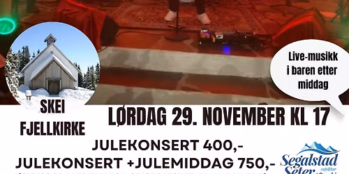 Familien Lopes med venners julekonsert.