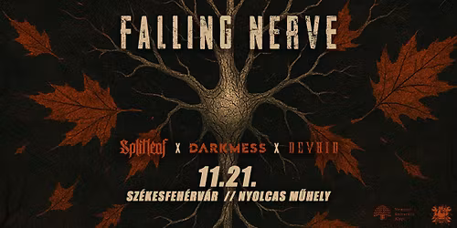FALLING NERVE - Splitleaf x DARKMESS x DEVOID @ Sz\u00e9kesfeh\u00e9rv\u00e1r