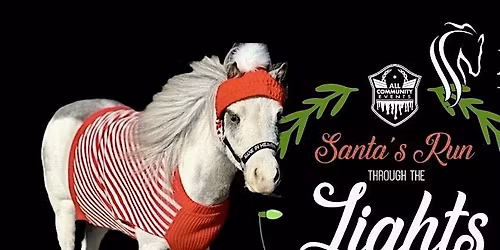 Volunteer with Mane in Heaven at Santa\u2019s Run through the Lights