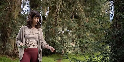 Herbal Medicine Making Circle in SF Garden with Wild Nutritive Nettle