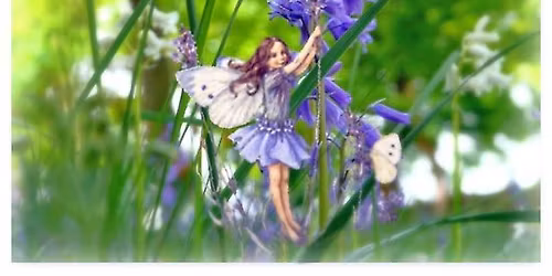 Bluebell Fairy Walk