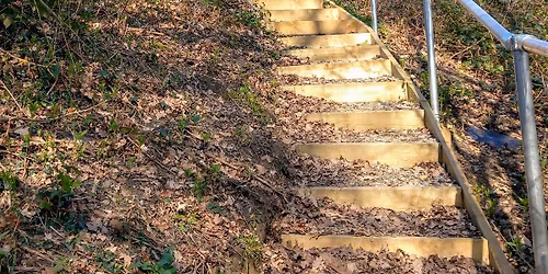 Bromley Green 5.5 mile walk