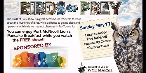 BIRDS OF PREY Portarama presents