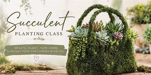 Planting Succulents in a Moss Purse