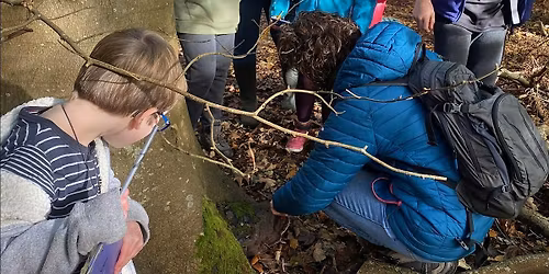 Basingstoke Wildlife Watch – Fungus Hunt
